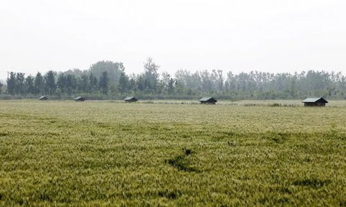 基建受阻，農(nóng)業(yè)科技開發(fā)或將面臨變數(shù)