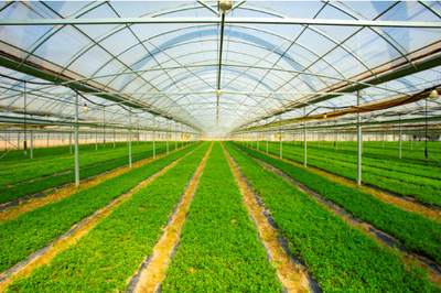 東臺現(xiàn)代農(nóng)業(yè)產(chǎn)業(yè)園躍升國家級 甜蜜產(chǎn)業(yè)賦能鄉(xiāng)村振興與農(nóng)業(yè)種植技術創(chuàng)新